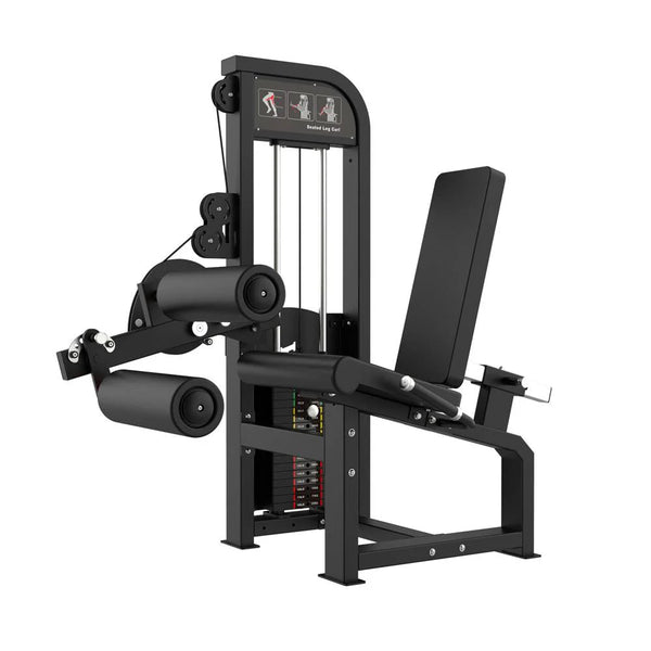 Excel Seated Leg Curl - Muscle D Fitness - Selectorized Hamstring Curl - Buy & Sell Fitness