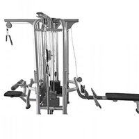 MDF Multi Series Deluxe 4 Stack Jungle Gym Version A - Buy & Sell Fitness